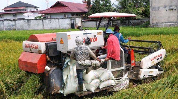 Combine harvester indonesia