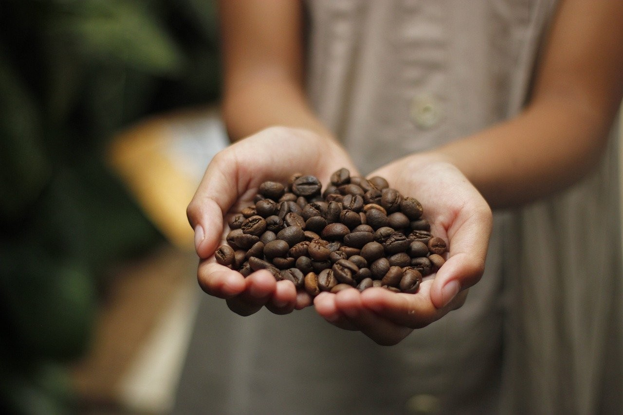 Tips Beli Biji Kopi Biar Nggak Kecewa