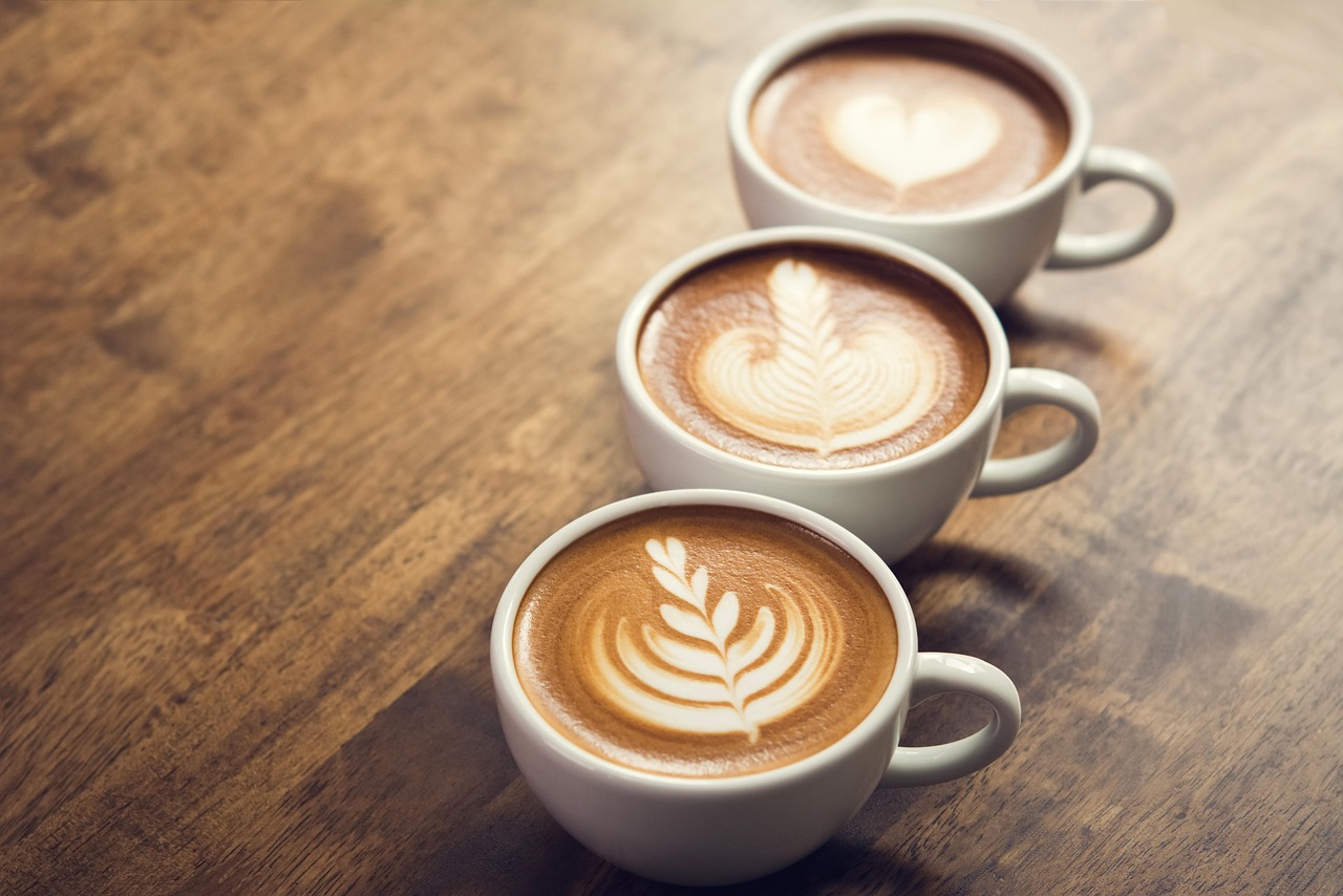 Memilih Bibit Kopi Unggul Harga Terjangkau, Tapi Berkualitas!