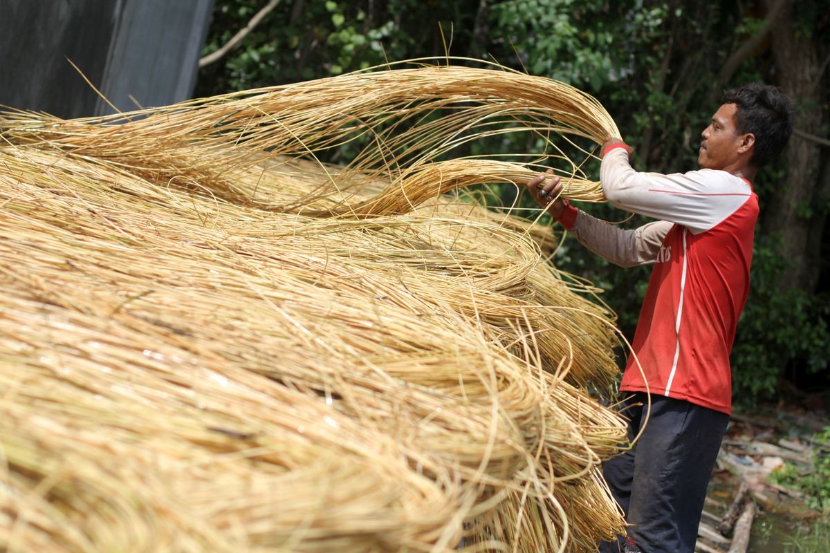 teknik pengolahan sabut kelapa
