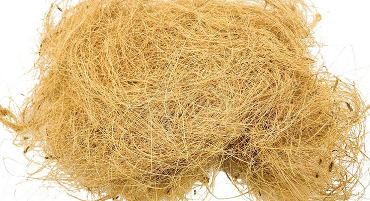 Potensi Bisnis Berkelanjutan Berbasis Sabut Kelapa