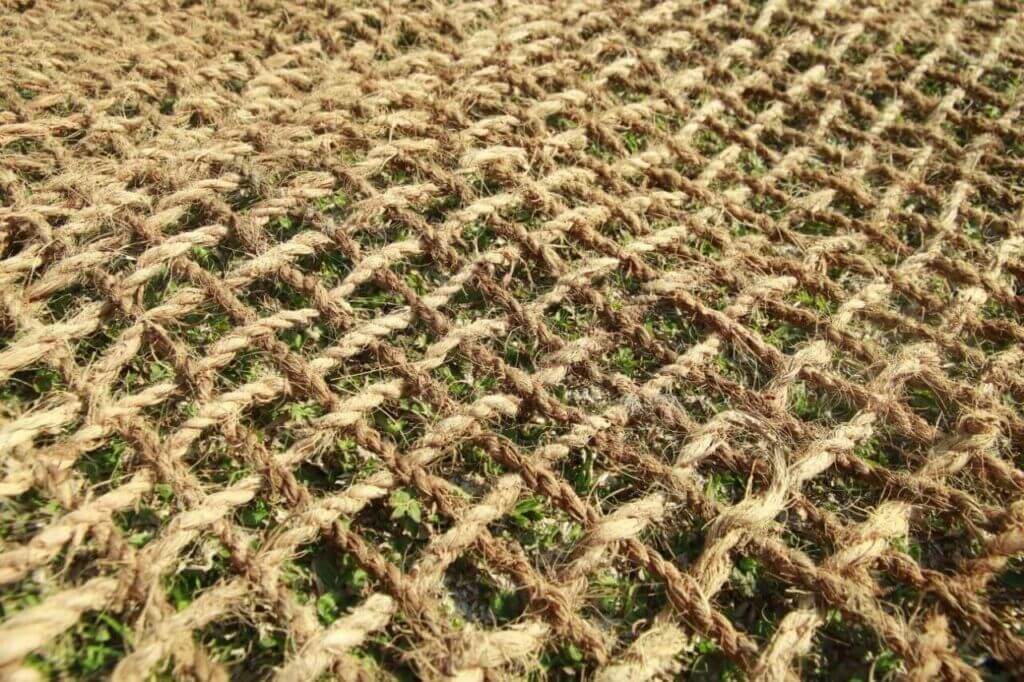 Menghidupkan Lahan Gersang: Peran Jaring Sabut Kelapa Vegetasi